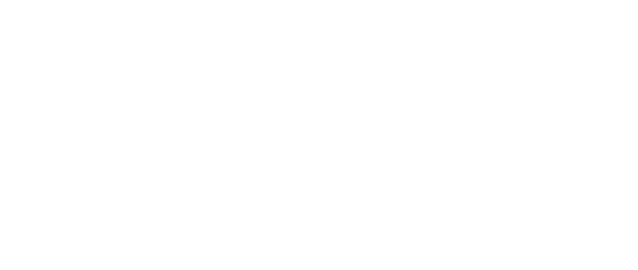 Coiffeur Saleh Logo